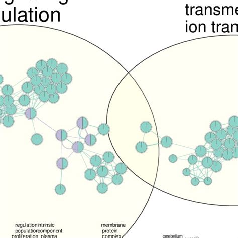 Image result for GA Algorithm Python