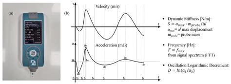 Intramuscular Properties of Resting Lumbar Muscles in Patients with ...
