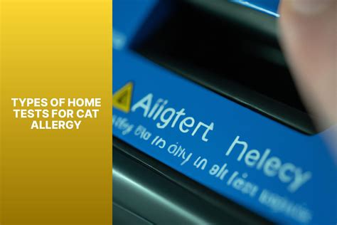 Home Allergy Testing: How to Test for Cat Allergy at Your Place - All ...