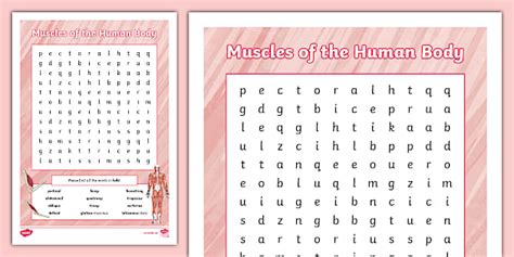Image result for Muscle Word Search Printable