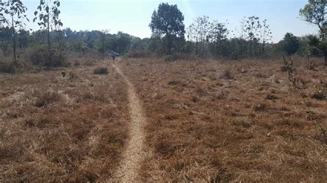 72 Guntha Agricultural/Farm Land for Sale in Murbad, Thane - by Shree ...
