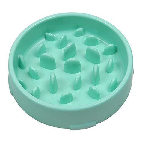 EDTara Nonslip Pet Prevent Obesity Anti Choke Slow Feeding Bowl for ...