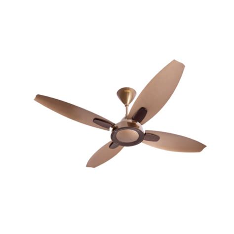 Usha 1300mm Bloom Lily W/O Reg GBD Sparkle Brown & Gold Ceiling Fan ...