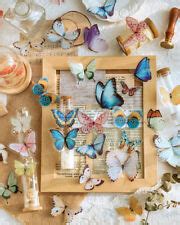 Beauty_within_Budget | eBay Stores