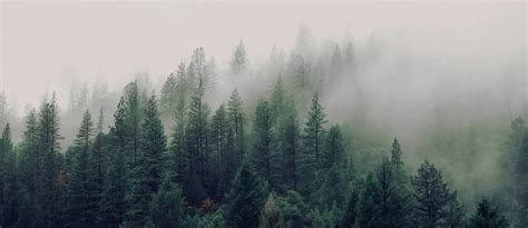 Zahrbock Funeral Home | Madison, MN