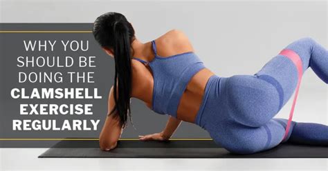 Image result for Clamshell Exercise Benefits