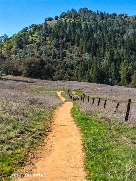 Magnolia Ranch: a peaceful stroll through the Coloma-Lotus region ...