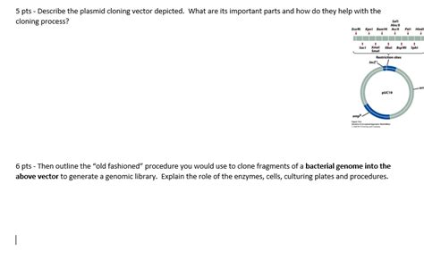 Cloning Vector Examples 的图像结果