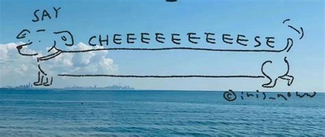 拍脑袋 的图像结果