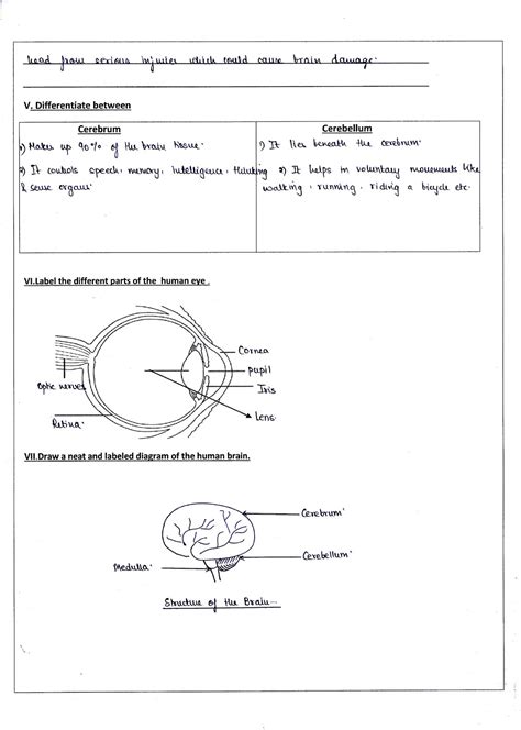 Image result for Grade 5 Science Performance Task