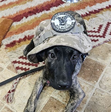 𝐈𝐍𝐌𝐀𝐓𝐄 𝐒𝐄𝐍𝐓𝐄𝐍𝐂𝐄𝐃 𝐅𝐎𝐑... - Yavapai County Sheriff's Office | Facebook