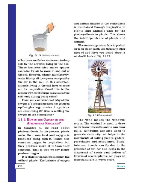 Class 6 Science Lesson 11 的图像结果