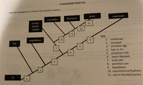 Image result for Cladogram Matrix Practice