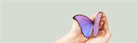 Yoga Therapy Marbella - Yoga Classes