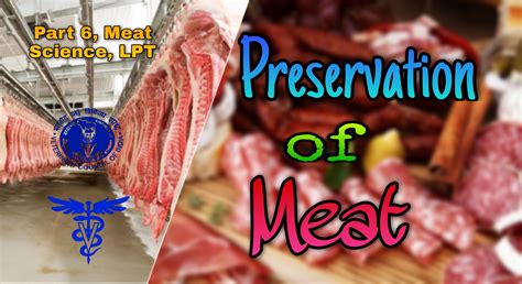 Preservation of Meat by Drying, Smoking, Chilling, Salting, Irradiation ...