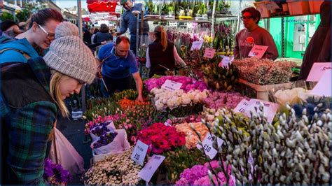 Discover Columbia Road Flower Market: A Must-Visit Oasis in London’s ...