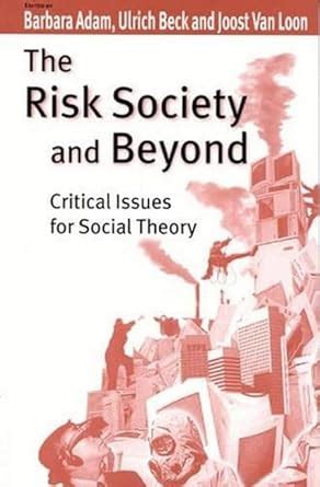 Buy The Risk Society and Beyond: Critical Issues for Social Theory Book ...