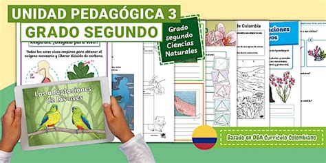 Recursos Ciencias Naturales DBA 3 Grado Segundo