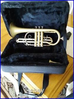 Image result for Cornet Musical Instrument