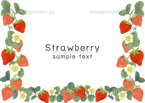 Image result for How Make Android App From Scratch Website