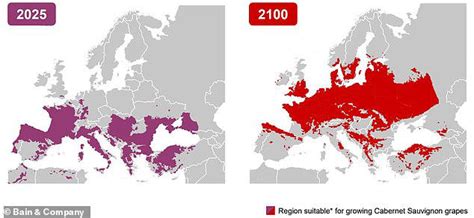 What the Hull? Wine grapes could be grown in YORKSHIRE by 2100