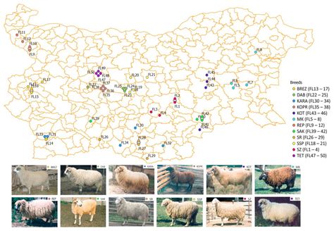 Genetic Diversity and Population Structure of Bulgarian Autochthonous ...