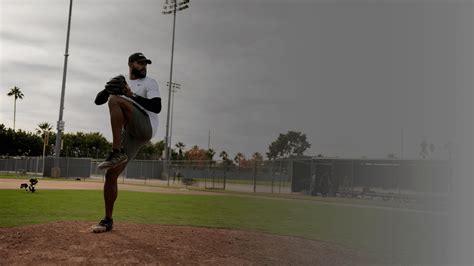 Image result for Trackman Baseball Data Explained
