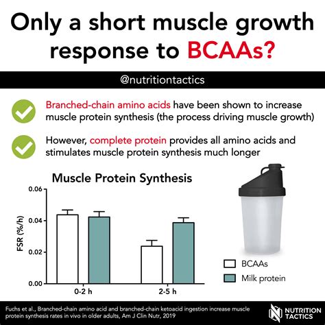 Branched Chain Amino Acids Muscle Growth | EOUA Blog