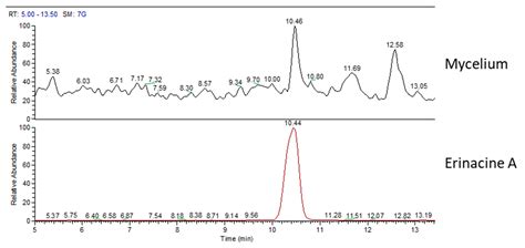 Array of Metabolites in Italian Hericium erinaceus Mycelium, Primordium, and Sporophore