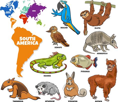 educational illustration of cartoon South American animals set 3275583 ...