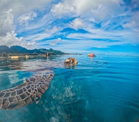 Image result for Fastapi Python Use Example