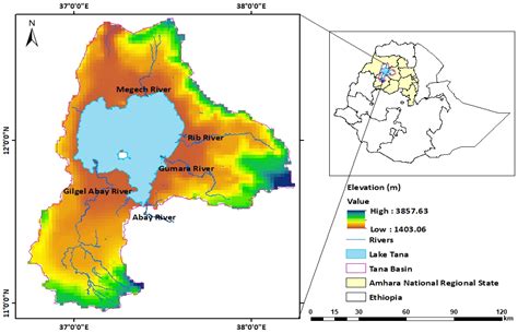Detection of Water Hyacinth (Eichhornia crassipes) in Lake Tana ...