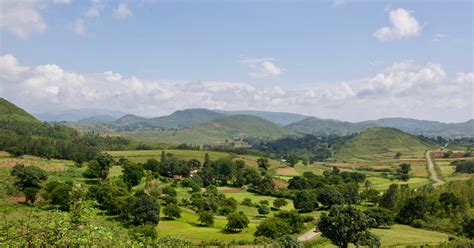 Araku Valley Hotels from ₹ 1,665/night | Compare Best Hotels in Araku ...