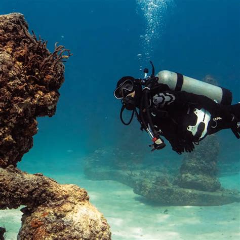 Neptune Memorial Reef dive site | PADI