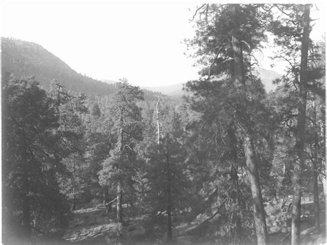 Image result for History Blog Post Example