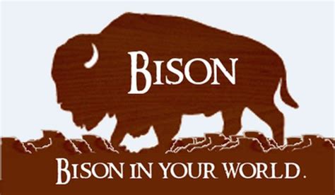 Image result for Minecraft Bison Mod