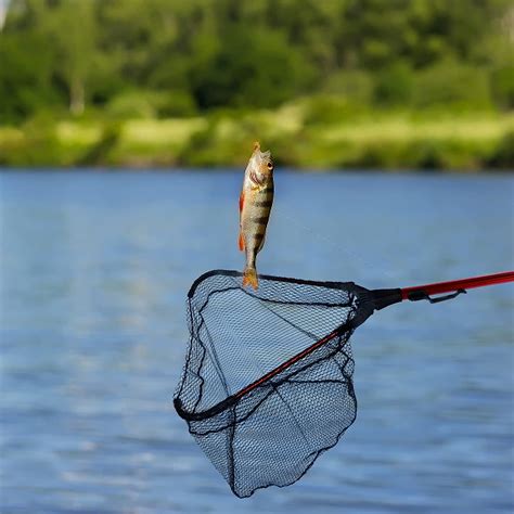 Buy Proximitck Foldable Fishing Net, Rubber Coated Fish Landing Net for ...