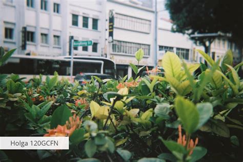 35Mm Film Camera 的图像结果