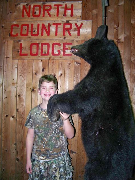 Maine Black Bear Hunting – North Country Lodge