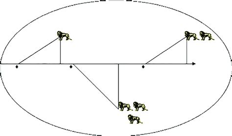 Image result for Transect Method Continuous Sampling