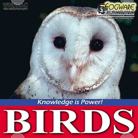 Buy Birds: Cranes through Passerines (Jewel Case) Online at Low Prices ...