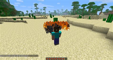 Image result for Minecraft Mod Avatar State