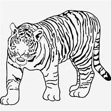 malvorlagen kostenlos tiger tiger malvorlagen malvorlagen kostenlos tiger tiger malvorlagen