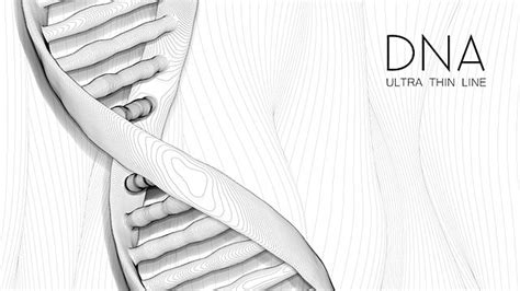 Dna双螺旋 的图像结果