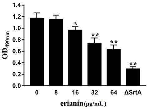 Erianin against Staphylococcus aureus Infection via Inhibiting Sortase A
