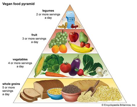5 Ways Veganism Shrinks Your Environmental Footprint - KIND ECO