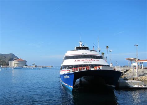 Sensory Overload: Catalina Island - Zippy Ziplines & Wallowing Buffalo
