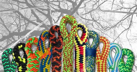 Rose Tree Splice 的图像结果