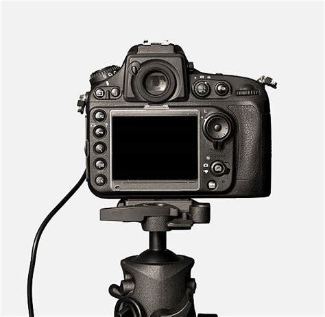 DSLR Camera Screen 的图像结果