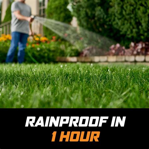 Ortho WeedClear Lawn Weed Killer Ready-To-Use India | Ubuy